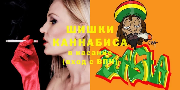 соль ск Надым