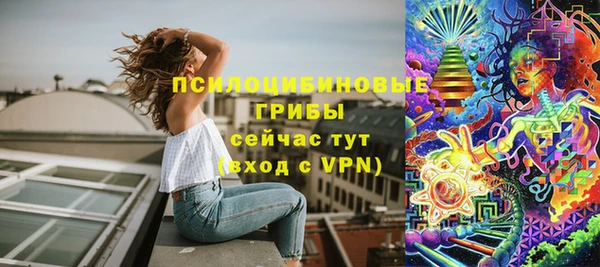 соль ск Надым