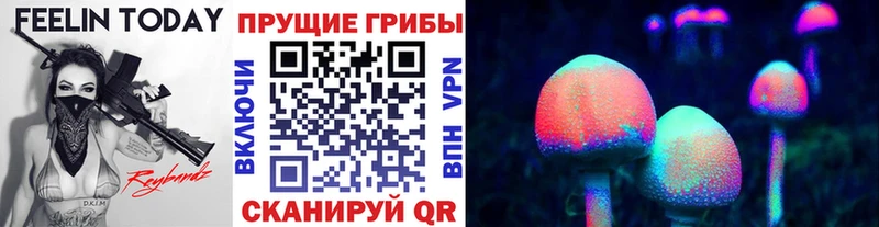 Галлюциногенные грибы Psilocybine cubensis МЕГА сайт Берёзовский